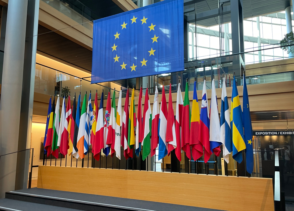 Flaggen im europäischen Parlament